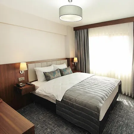 Pisa Provincia di Istanbul