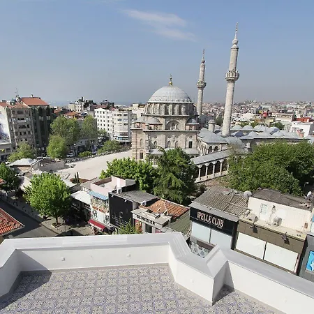 Pisa Hotel 4*